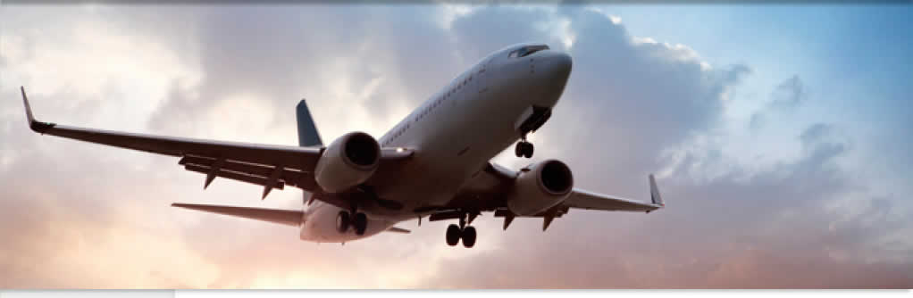 Groundhog Banner Image